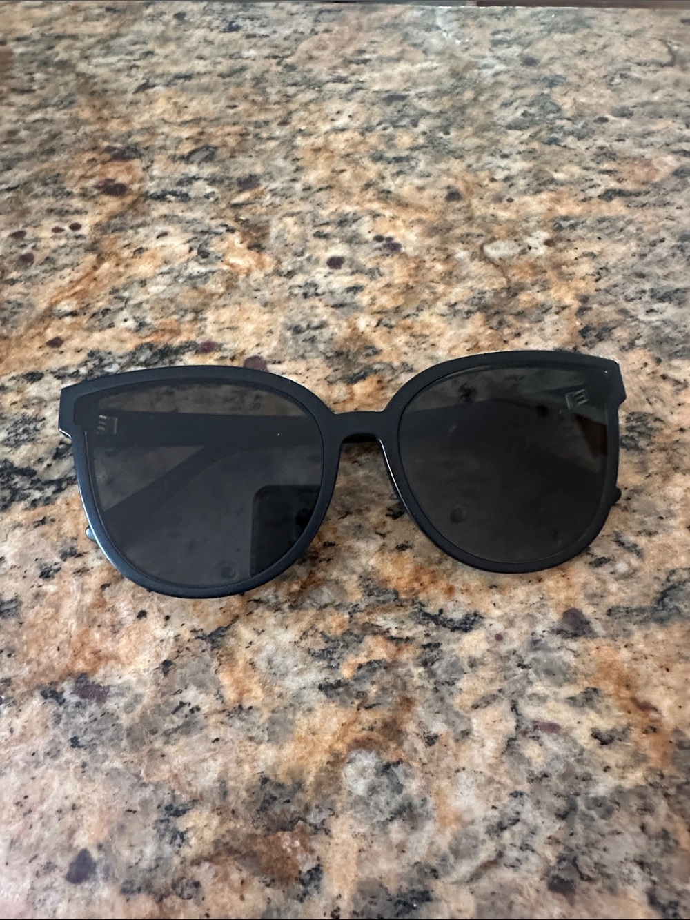 Von Zipper Black Women's Oversized Sunglasses